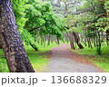 東海道五十三次・沼津宿千本松原 136688329