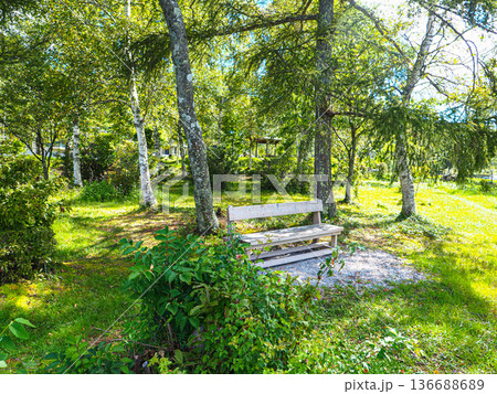 新緑に包まれた高原のベンチ 136688689