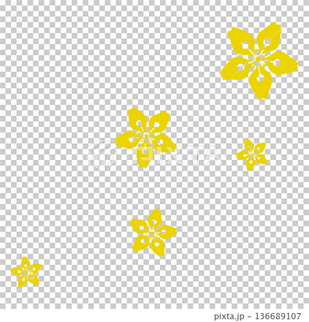 Five yellow cherry blossoms Five yellow cherry blossoms 136689107