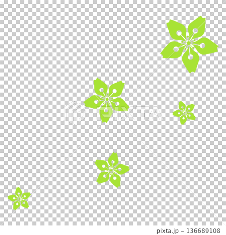 Five yellow-green cherry blossoms Five yellow-green cherry blossoms 136689108