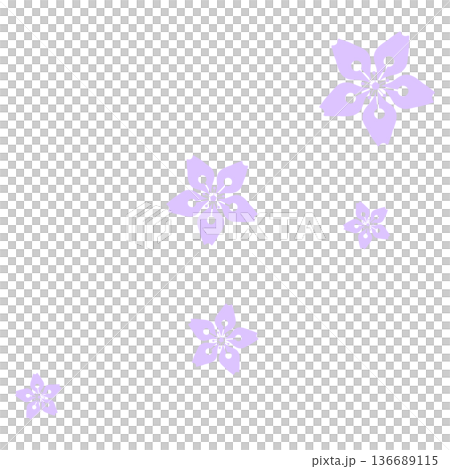 Five pale purple cherry blossoms Five pale purple cherry blossoms 136689115
