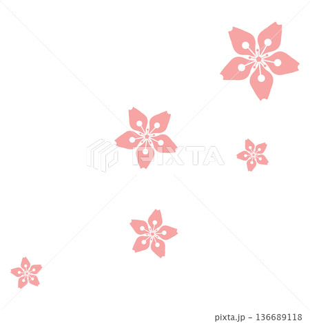 ピンク色の5輪の桜 ピンク色の5輪の桜 136689118