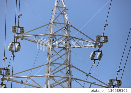 鉄塔に営巣するカラスと電力インフラ 136689561