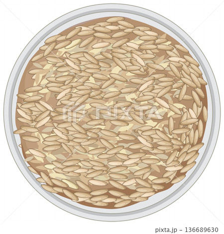Top View of Brown Rice on White Plate Top View of Brown Rice on White Plate 136689630