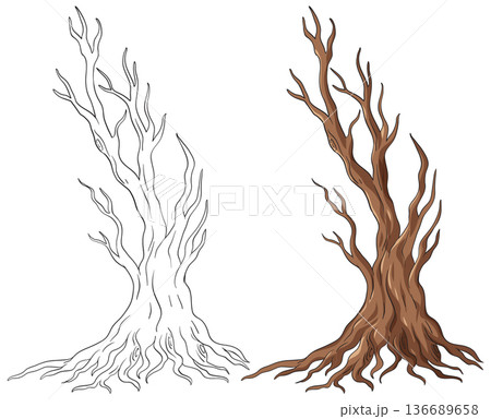 Dead Tree Vector Illustration with Outline and Colored Versions Dead Tree Vector Illustration with Outline and Colored Versions 136689658