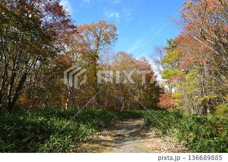 那須平成の森　2025-11-2　＃35 136689885