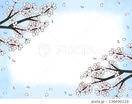 青空に舞う桜の花びらフレーム 136690128