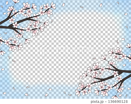 青空に舞う桜の花びらフレーム 136690128