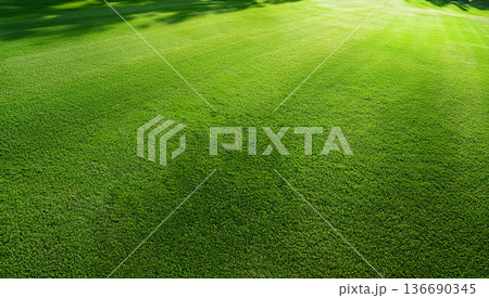 緑の芝生＜イメージ＞ 136690345