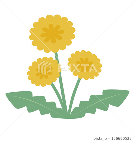 簡易的でシンプルな北欧風カラーの野原に咲く3つの黄色いタンポポのベクターイラスト 136690523
