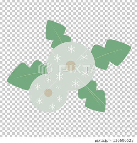 真上俯瞰の簡易的でシンプルな北欧風白いタンポポの綿毛ベクターイラストアイコン 136690525