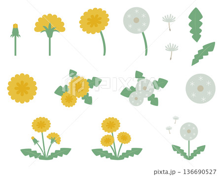 簡易的でシンプルな北欧風カラーのかわいいタンポポと綿毛のパーツ個別素材のベクターイラストセット 136690527