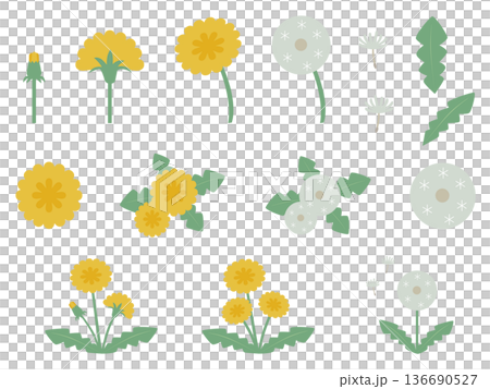 簡易的でシンプルな北欧風カラーのかわいいタンポポと綿毛のパーツ個別素材のベクターイラストセット 136690527