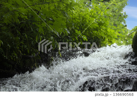 River close up in the Alpes in France River close up in the Alpes in France 136690568