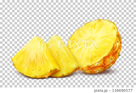 逼真的菠蘿插圖 逼真的菠蘿插圖 136690577