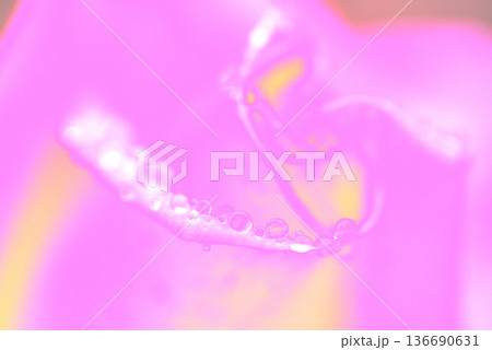ピンク系　背景素材 136690631