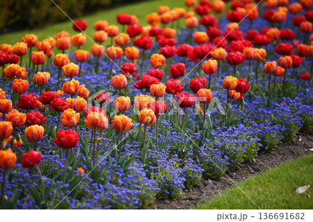 Frederiksberg Have in Denmark in spring 2012 Frederiksberg Have in Denmark in spring 2012 136691682