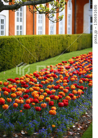 Frederiksberg Have in Denmark in spring 2012 Frederiksberg Have in Denmark in spring 2012 136691686