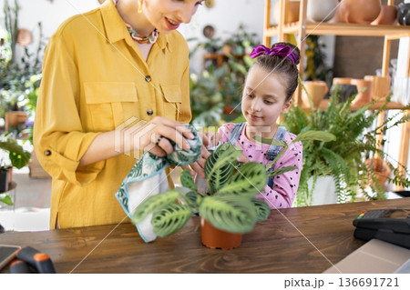 A woman and a young girl are shown caring for a potted houseplant, creating a heartwarming scene of nurturing and connection A woman and a young girl are shown caring for a potted houseplant, creating a heartwarming scene of nurturing and connection 136691721