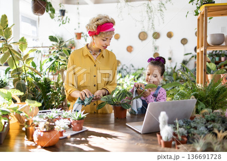 A woman and a young girl are tending to plants in a bright, sunlit greenhouse, creating a heartwarming scene A woman and a young girl are tending to plants in a bright, sunlit greenhouse, creating a heartwarming scene 136691728
