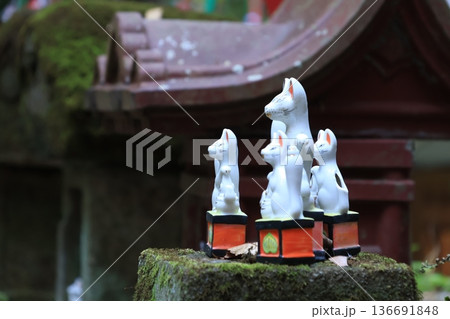鎌狐を奉る鎌倉にパワースポットである佐助稲荷神社 鎌狐を奉る鎌倉にパワースポットである佐助稲荷神社 136691848