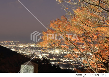 大山阿夫利神社付近から紅葉の季節に関東平野を望む夕景 神奈川県伊勢原市 大山阿夫利神社付近から紅葉の季節に関東平野を望む夕景 神奈川県伊勢原市 136691945