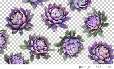 Multiple purple-pink blooming flowers with green leaves isolated on white background, botanical floral pattern concept Multiple purple-pink blooming flowers with green leaves isolated on white background, botanical floral pattern concept 136692028