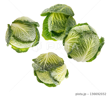 Fresh cabbage heads with rich green textured leaves isolated on white background, healthy organic produce 136692032