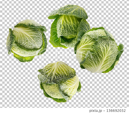Fresh cabbage heads with rich green textured leaves isolated on white background, healthy organic produce Fresh cabbage heads with rich green textured leaves isolated on white background, healthy organic produce 136692032