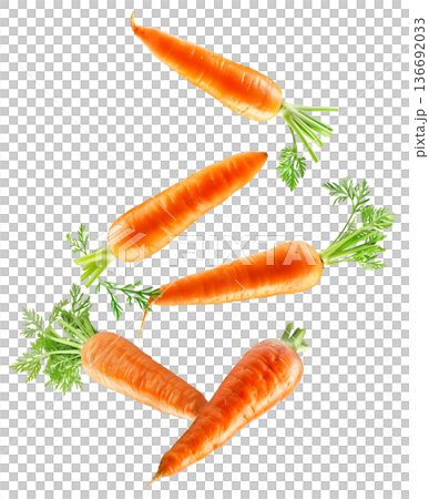 Bunches of fresh orange carrots with green tops arranged in a scattered layout isolated on white background, organic healthy food Bunches of fresh orange carrots with green tops arranged in a scattered layout isolated on white background, organic healthy food 136692033