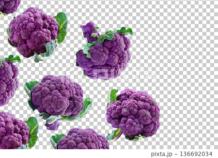 Fresh purple cauliflower heads with green leaves, isolated on white background, concept of healthy organic vegetables Fresh purple cauliflower heads with green leaves, isolated on white background, concept of healthy organic vegetables 136692034