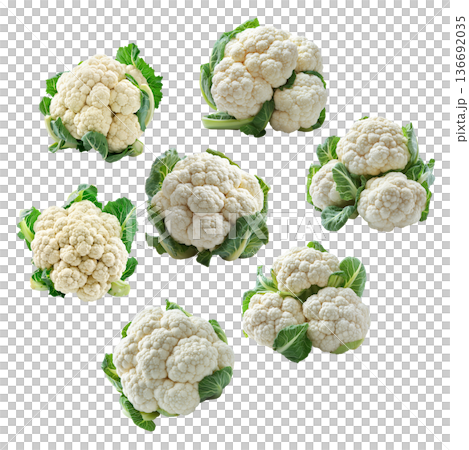 Multiple fresh cauliflower heads with green leaves isolated on a white background, concept of healthy organic vegetables 136692035