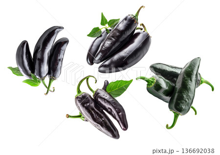 Fresh black jalapeno peppers with green stems and leaves arranged and isolated on white background, concept for food themes 136692038
