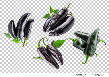 Fresh black jalapeno peppers with green stems and leaves arranged and isolated on white background, concept for food themes 136692038