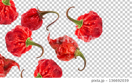 Wrinkled red Carolina Reaper chili peppers isolated on white background, close-up of extreme heat food concept, natural style 136692039