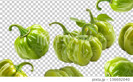 Multiple fresh green bell peppers isolated white background, concept of organic food and freshness 136692040