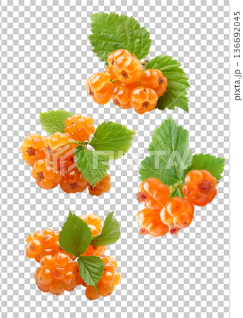 Fresh cloudberries with green leaves arranged in seamless pattern on white background, concept of fruit harvest and freshness 136692045
