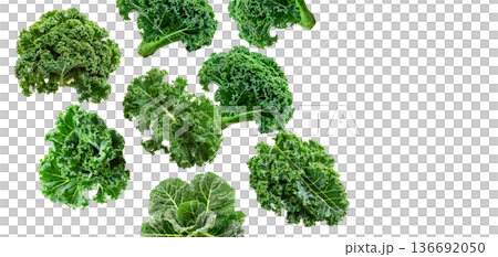 Fresh curly kale leaves arranged in a scattered layout, isolated on white background, concept of healthy eating. Fresh curly kale leaves arranged in a scattered layout, isolated on white background, concept of healthy eating. 136692050