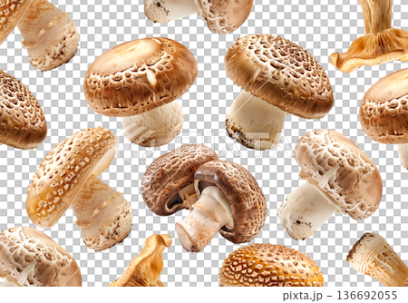 Collection of wild mushrooms with detailed textured caps, isolated on white background. Concept of fungi diversity Collection of wild mushrooms with detailed textured caps, isolated on white background. Concept of fungi diversity 136692055