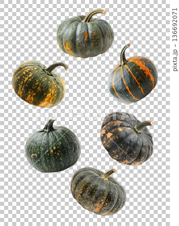 Assorted green and orange pumpkins scattered in a seamless pattern isolated on white background 136692071