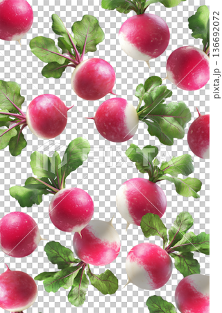 Fresh whole radishes with green leaves scattered and isolated on a white background, realistic style, healthy food concept pattern Fresh whole radishes with green leaves scattered and isolated on a white background, realistic style, healthy food concept pattern 136692072