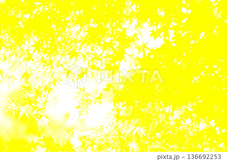 イエロー系 　背景素材 136692253