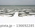 Coast in Mikkelborg Danmark 136692285