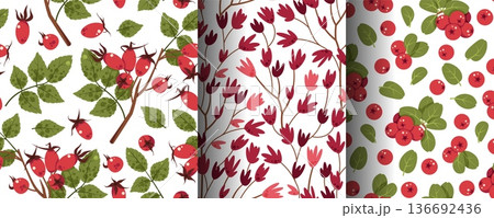 Set of Seamless Forest Patterns with Lingonberry, Rosehip, Leaves and Flowers in Flat Style. Botanical Wilderness Texture for Textile, Wallpaper, Packaging, Stationery and Natural Decor 136692436