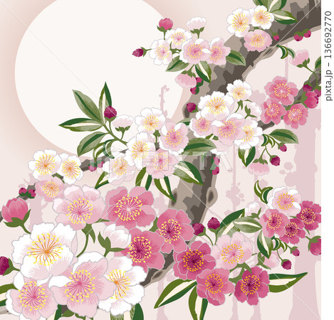 Plum blossoms in full bloom on branches under a bright full moon 136692770