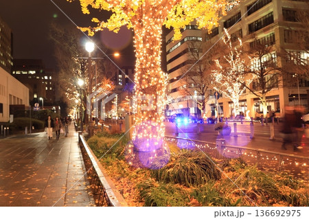 横浜ベイエリアのクリスマス・シーズンのイルミネーション 夜景と都市風景 横浜ベイエリアのクリスマス・シーズンのイルミネーション 夜景と都市風景 136692975