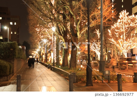 横浜ベイエリアのクリスマス・シーズンのイルミネーション 夜景と都市風景 横浜ベイエリアのクリスマス・シーズンのイルミネーション 夜景と都市風景 136692977