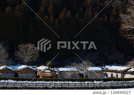 一乗谷朝倉氏遺跡も春近し 136694027