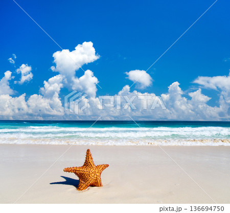 Blue sea and blue sky. Beach and sea. Blue sky over calm sea 136694750