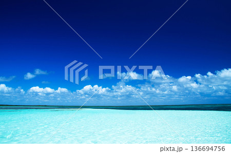 Sea landscape. Caribbean clear beach and tropical sea Sea landscape. Caribbean clear beach and tropical sea 136694756